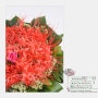 배우 류승룡님을 위한 9가지 꽃다발 디자인.