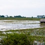 [톤레 삽 호수 (Tonle Sap Lake), 캄보디아]: 물 위에 사는 사람들