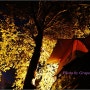 [2010.10.30-] 루프탑텐트와 함께한 가을.....중도유원지 캠핑장..