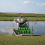 Wetland where the alligators live with other species/Florida