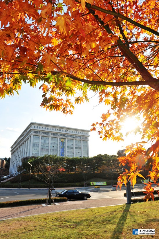 [조선대]조선대학교 체육대학 창립 60주년 기념행사 11월 26일(금) 개최 : 네이버 블로그