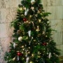 크리스마스 트리 Christmas Tree