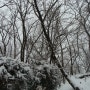 성북구 개운산 눈내린 날 풍경