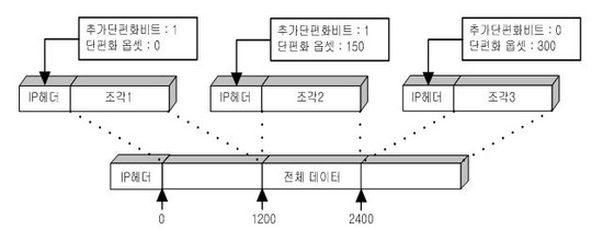IP Header Format (IP 헤더) : 네이버 블로그