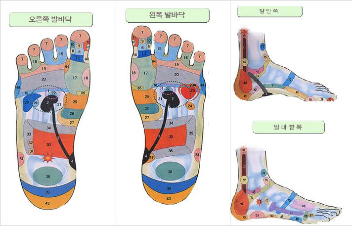 [부산지압,부산마사지] 발지압,손지압 관족법반사구 그림표 : 네이버 블로그