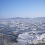 유빙(流氷) - 2011년 1월의 겨울.