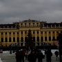 [유럽/오스트리아/비엔나] 쉔부른 궁전과 시청사 근처