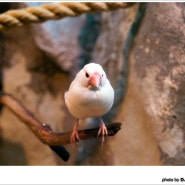 63시티 수족관-귀여운 새들