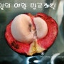 망고스틴(Mangosteen) & 화룡과(火龍果-Dragon Fruit)