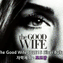 [한글자막] The Good Wife S02E15 Silver Bullet