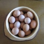 시립대역(청량리역) 고시원 노블레지던스.......오늘은 계란 주는 날....~!