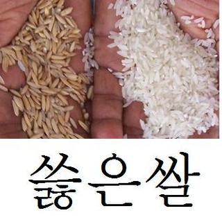 벼 뉘 쓿은쌀 쓿어서 쓸리다 겉껍질을 벗긴 쌀 [알고 싶은 우리말 : 네이버 블로그