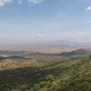 in Masai Mara
