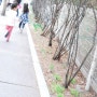 서울여대 - 봄풍경이 아름다운 서울여대의 봄풍경사진