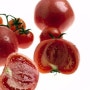 영양소 100% 섭취하는 똑똑한 토마토 활용법 / 토마토요리법 / 토마토의 효능