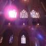 워싱턴 D.C.여행 둘째 날 오전 - National Cathedral