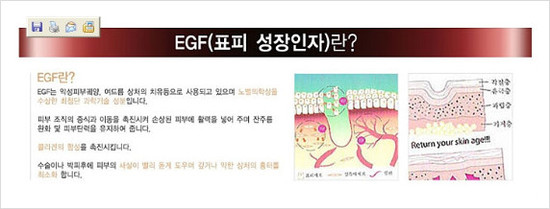 EGF의기능~~EGF란무엇인가~~EGF화장품의효능~~EGF피부재생화장품[EGF] : 네이버 블로그