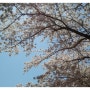 봄 봄