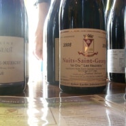 Fine Vines & Loire Valley wine tasting