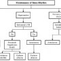 2011 Atrial fibrillation focused update ACCF/AHA/HRS