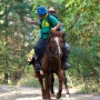 산악승마: 말을 타고 산을 오르다 -Timbersmith