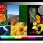 온라인 사진인화 색감 비교 : 컬러 차트