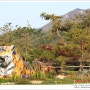 단풍3 - 서울대공원 단풍 그리고 낙엽 절정