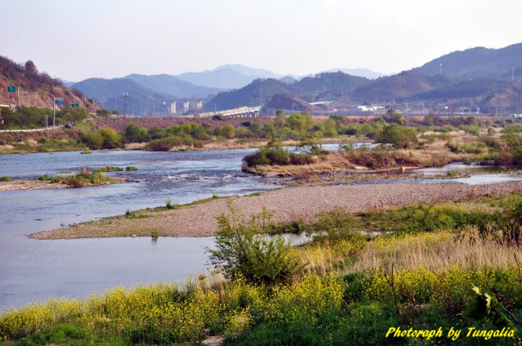 2011년 4월 23일 섬진강 본류 탐어 : 네이버 블로그