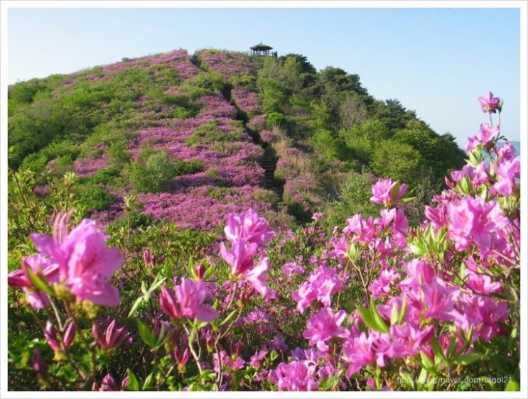 비음산(1) : 네이버 블로그