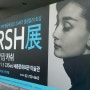 인물사진의 거장 카쉬展에 다녀오다!!!! @세종문화회관
