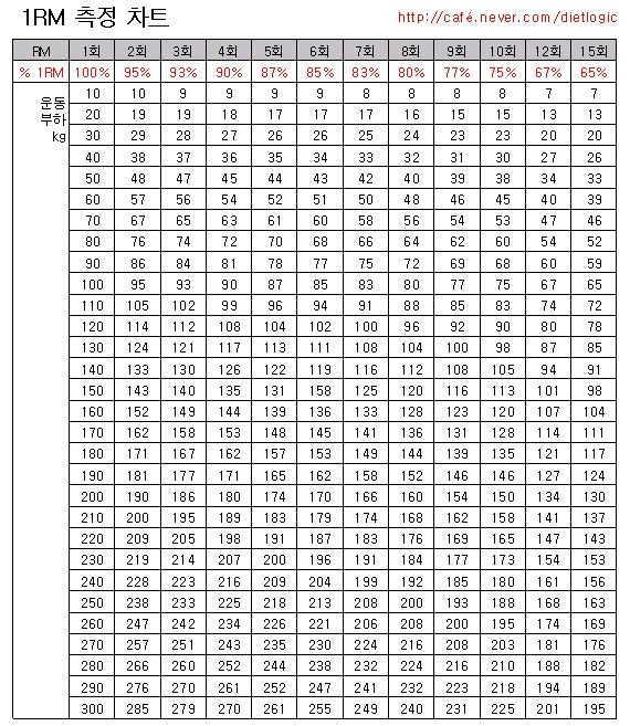 1RM 측정 차트 : 네이버 블로그