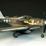 [Special Hobby 1/32] P-39D Airacobra "Air-a-Cutie"