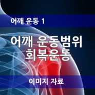 어깨 관절범위 회복운동, 스트레칭운동 요령, 오십견, 유착성 관절낭염, 동결견