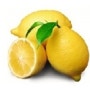 [레몬 디톡스 다이어트] 레몬 디톡스 다이어트