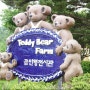 [강원도]속초에 있는 테디베어팜(Teddy Bear Farm) - 곰인형전시관에 다녀오다..