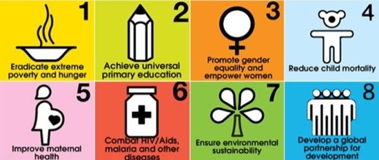 UN 새천년개발목표 (UN Millennium Development Goals : MDGs) : 네이버 블로그