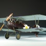 [Wingnut Wings 1/32] Albatros D.V