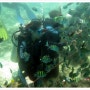 [필리핀 세부 패키지여행 3박 4일] 〃 두번째 이야기 : 디스커버리투어와 아름다운 바다 속 체험, 스쿠버 다이빙