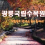 [경기/남양주,포천/광릉국립수목원] 숲의 품에서