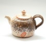 2011.10-다관(Teapot)