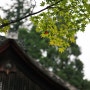 다카오의 가을, Kyoto