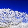 시각 in 겨울 - 겨울 풍경 사진 촬영법