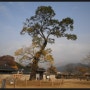 해미성지순례-해미읍성