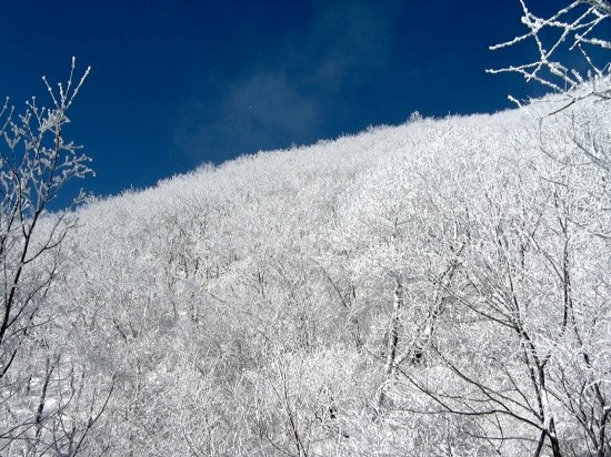 겨울산 산행 눈꽃여행지 추천 설산 BEST 5 : 네이버 블로그