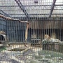 서울대공원 동물원(2)