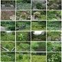 경기도 포천: 평강식물원