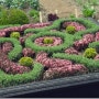 매듭정원(Knot garden)