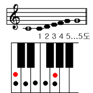 I권-5강. 음정