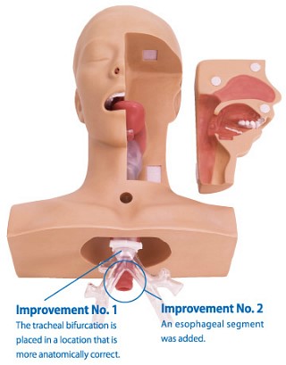 석션실습모형,기관절개관 관리모형,Suction Training Model LM097 : 네이버 블로그