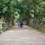 [나라] 카스가타이샤 (Kasuga Taisha Shrine)
